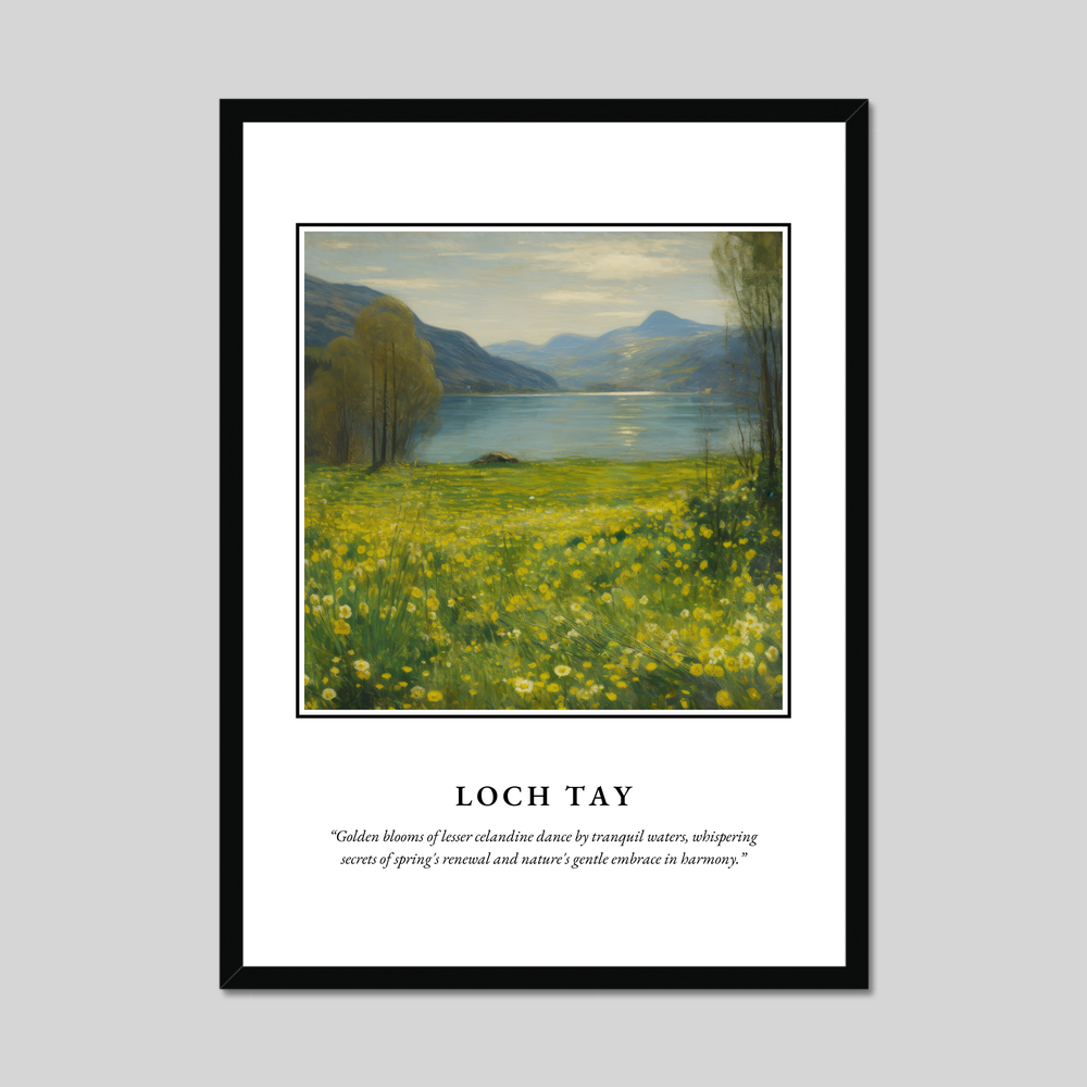 Poster in a black frame