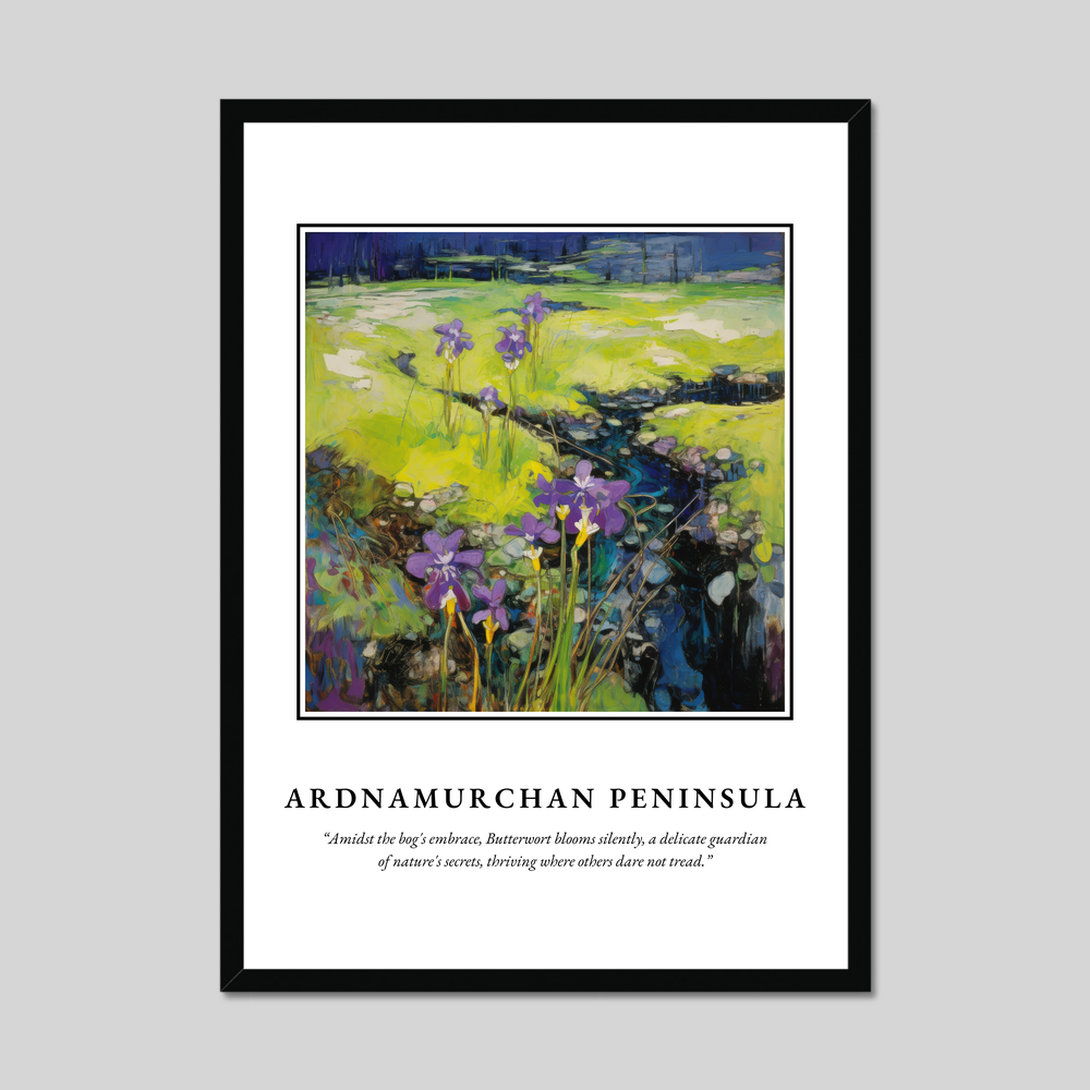 Poster in a black frame