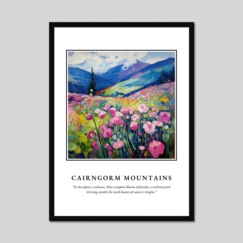 Poster in a black frame