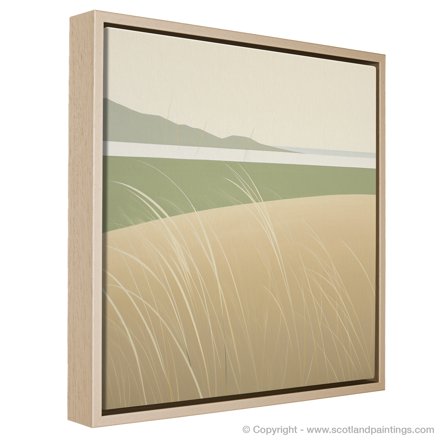 Swaying Lyme Grass of Nairn Dunes