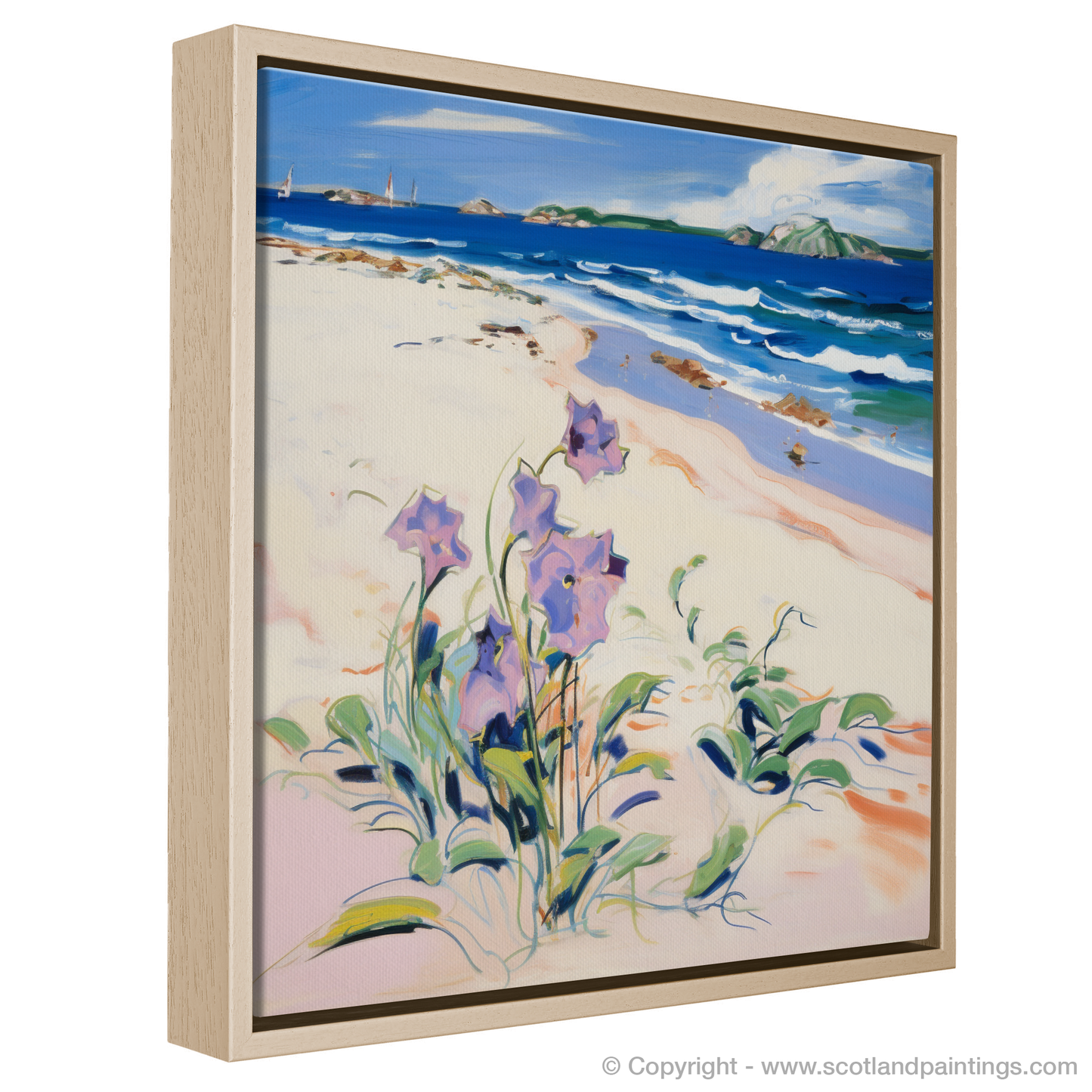 Fauvist Flair on Troon Beach Sands