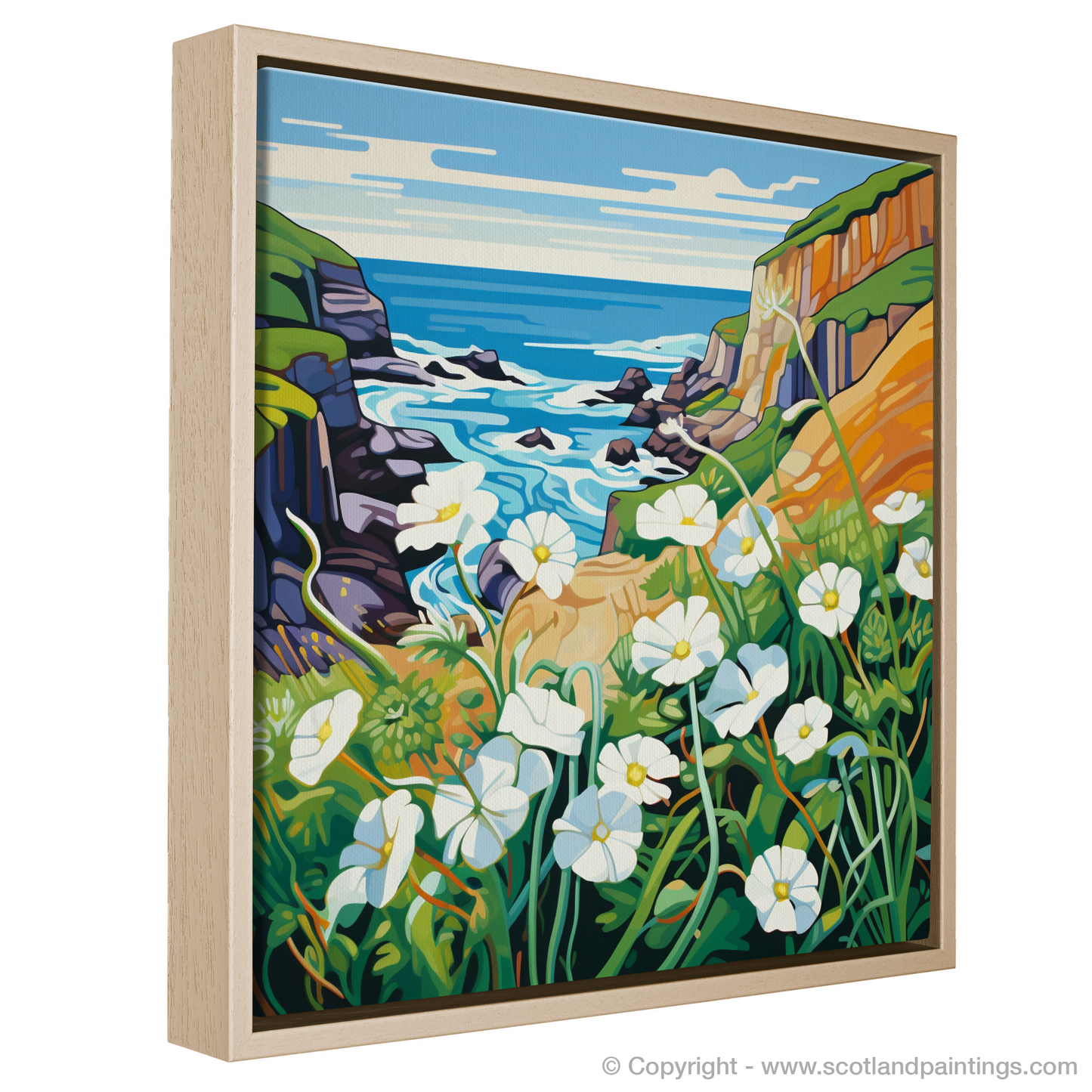 Campion on the Cliffs: A Pop Art Ode to Scotland's Rugged Coast