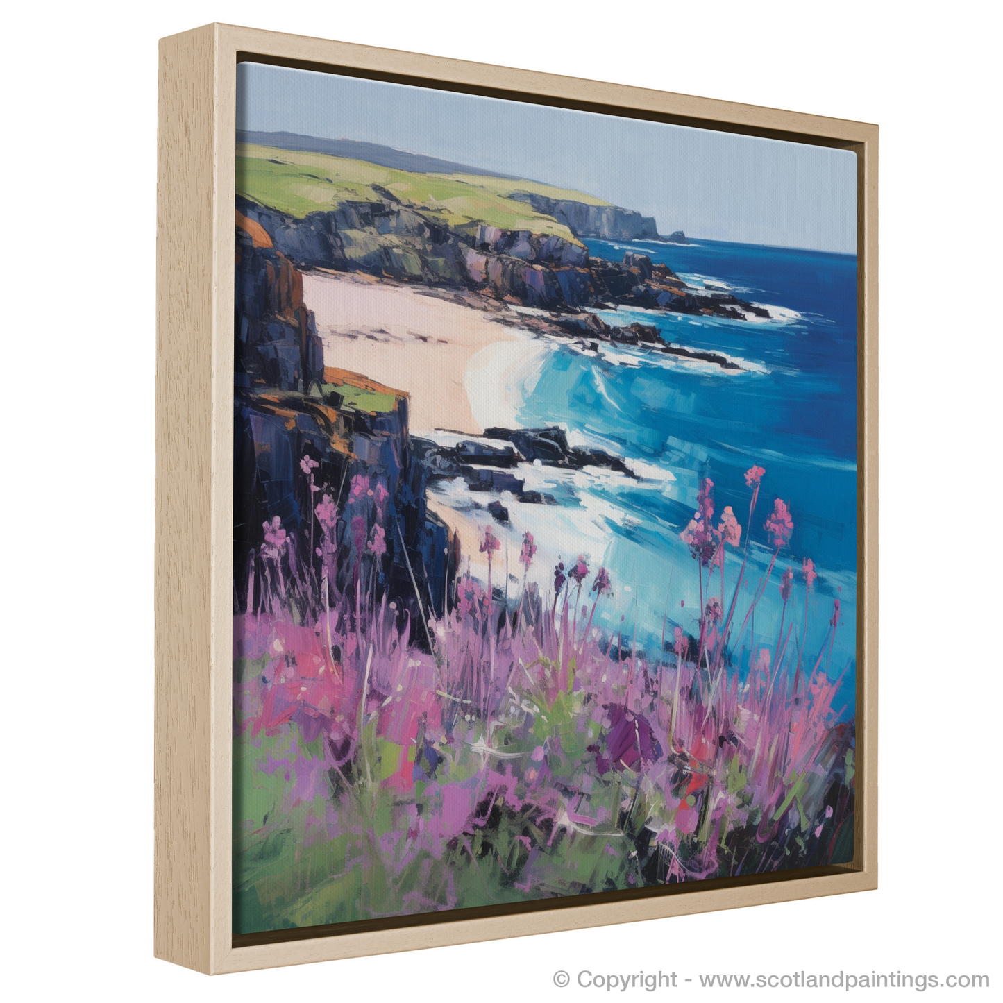 Dancing Sea Thrift at St Abbs Head Cliffs