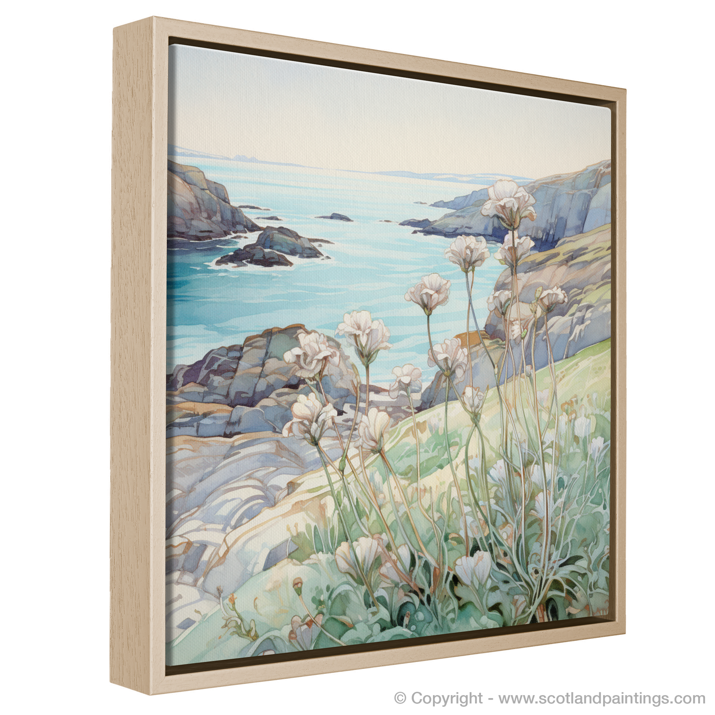 Art Nouveau Whisperings of Sea Campion on Cape Wrath Cliffs
