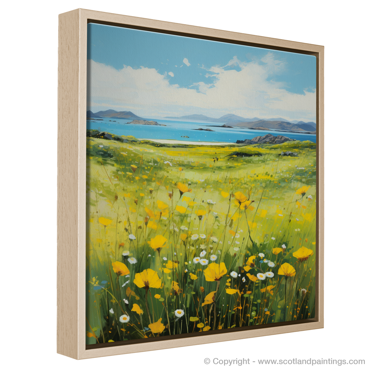 Machair Meadows: A Naive Art Tribute to Yellow Rattle in the Outer Hebrides