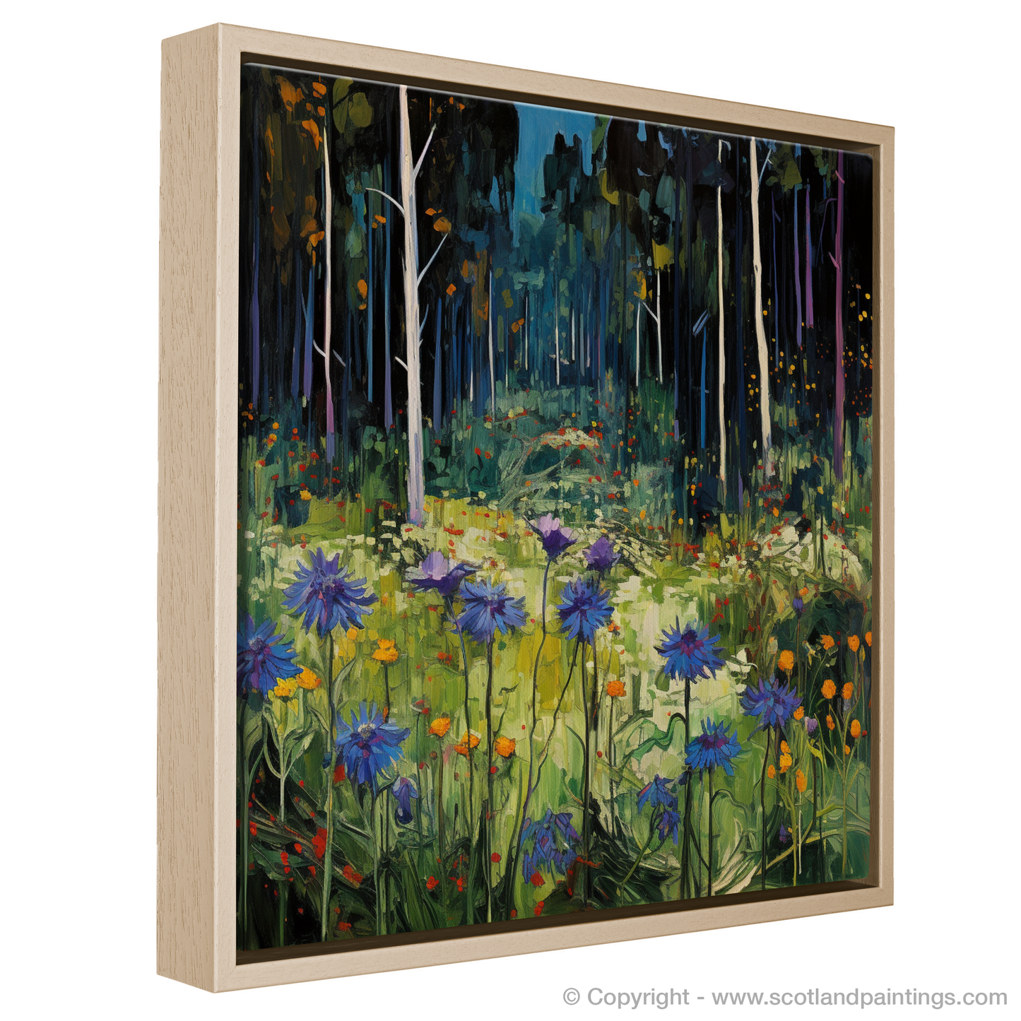 Dancing Scabious in Caledonian Meadows