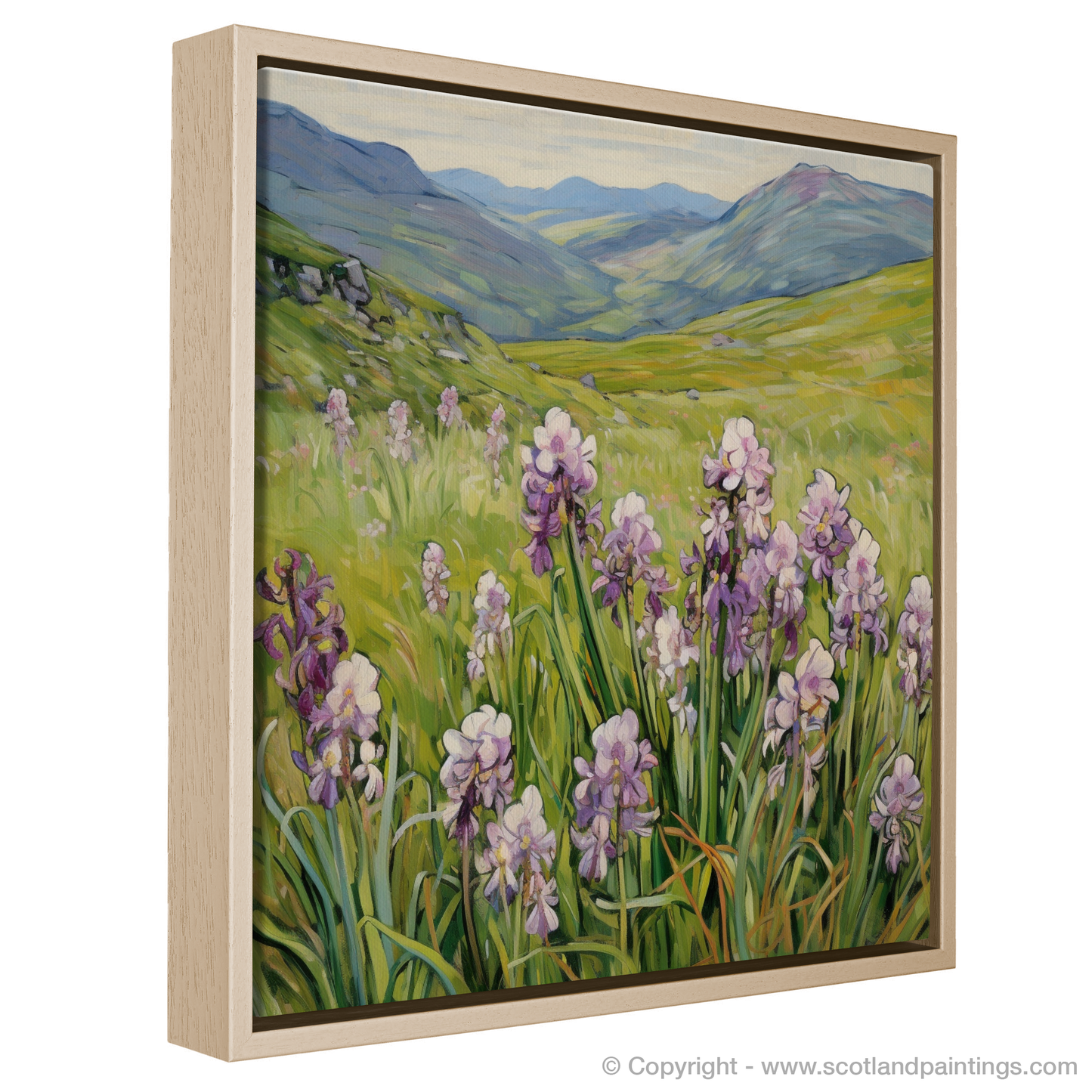 Moorland Spotted Orchid in The Mamores: An Art Nouveau Tribute