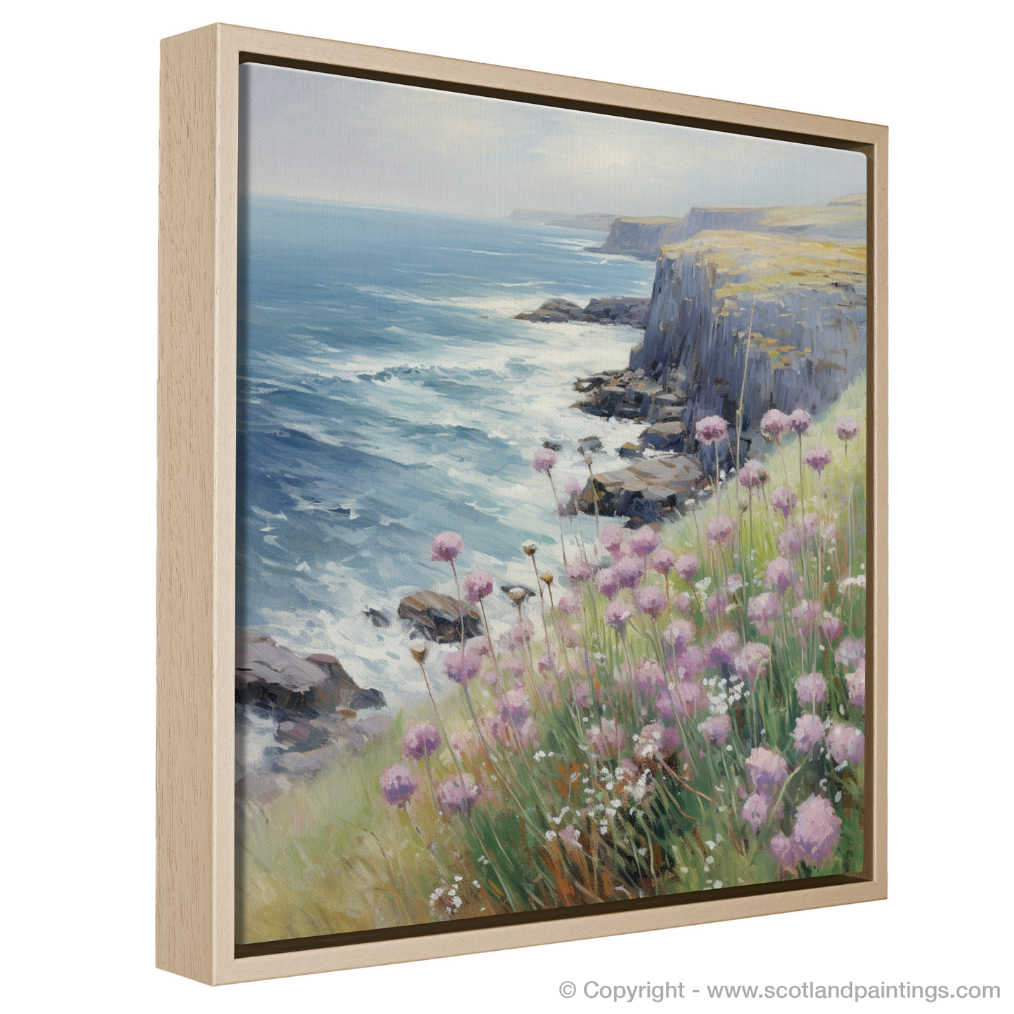 Dancing Sea Thrift on Skye Cliffs