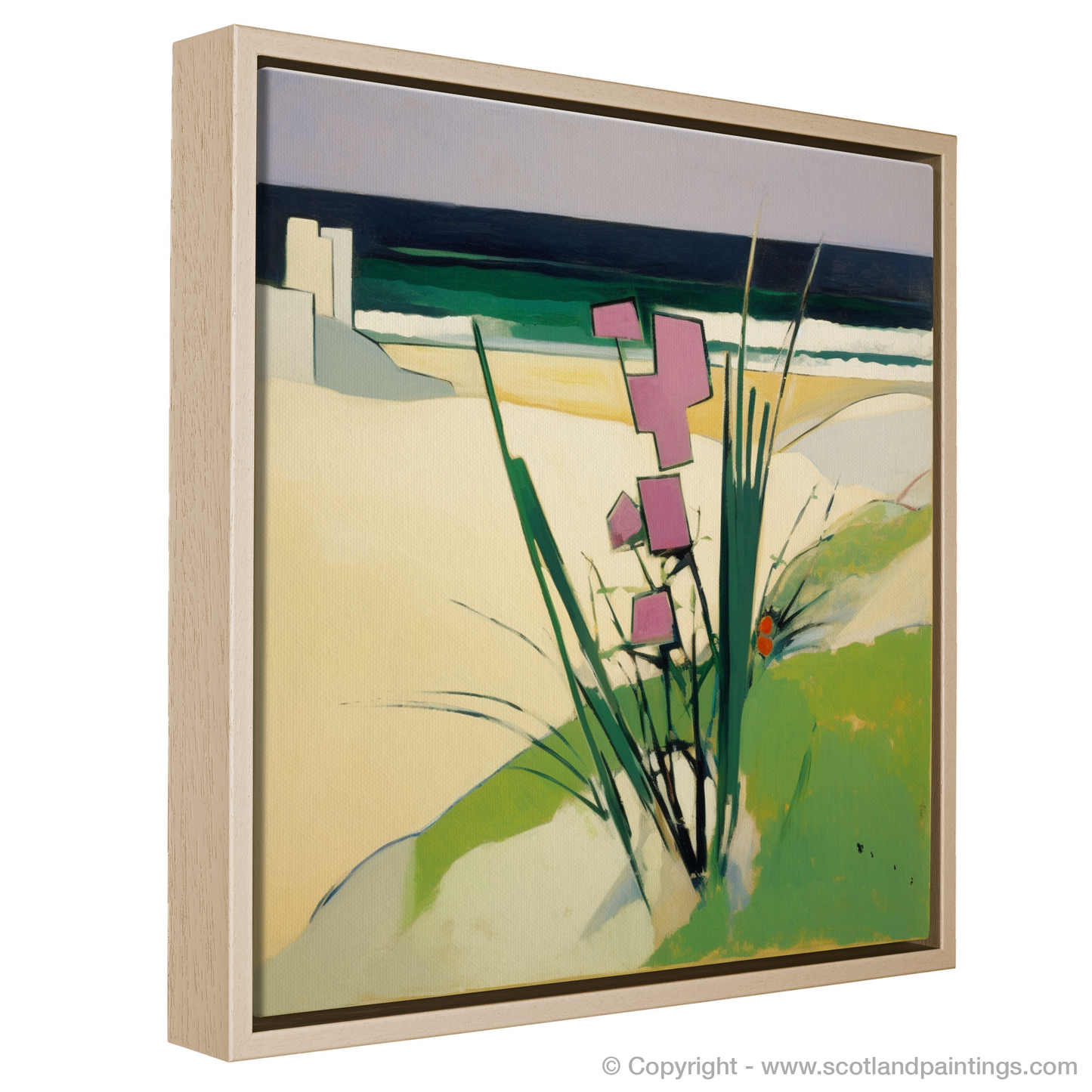 Aberdeenshire's Coastal Bloom: An Abstract Sea Rocket Reverie