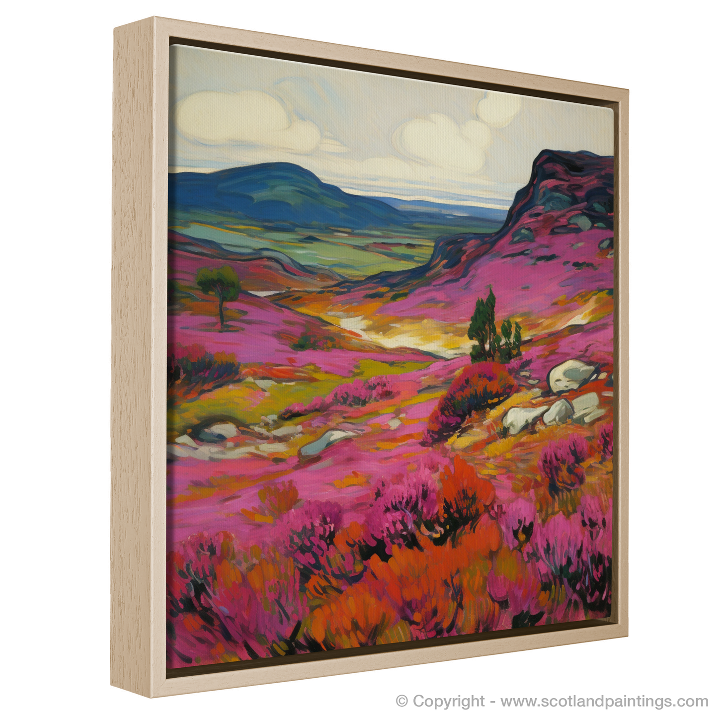 Vibrant Cairngorms: A Fauvist Ode to Bell Heather