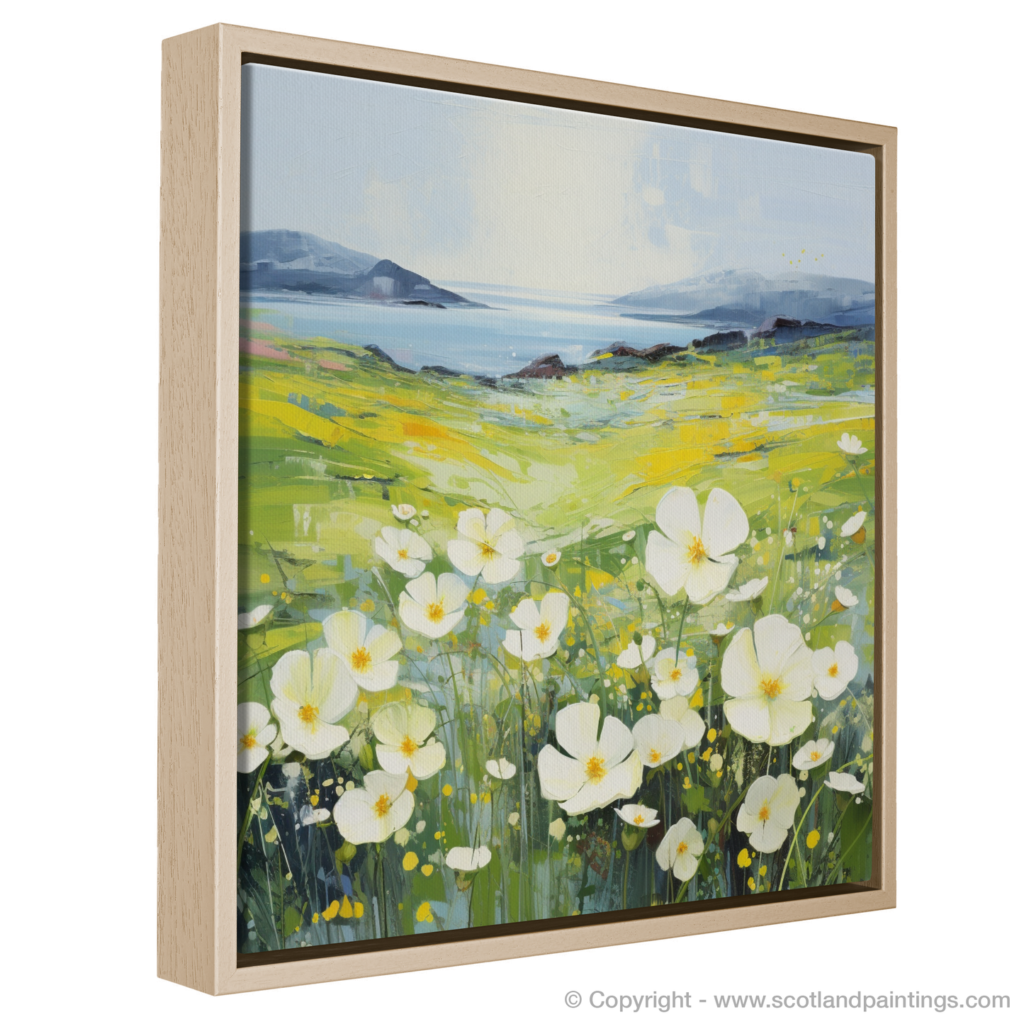 Primrose Whispers: A Minimalist Ode to Argyll and Bute's Coastal Splendour