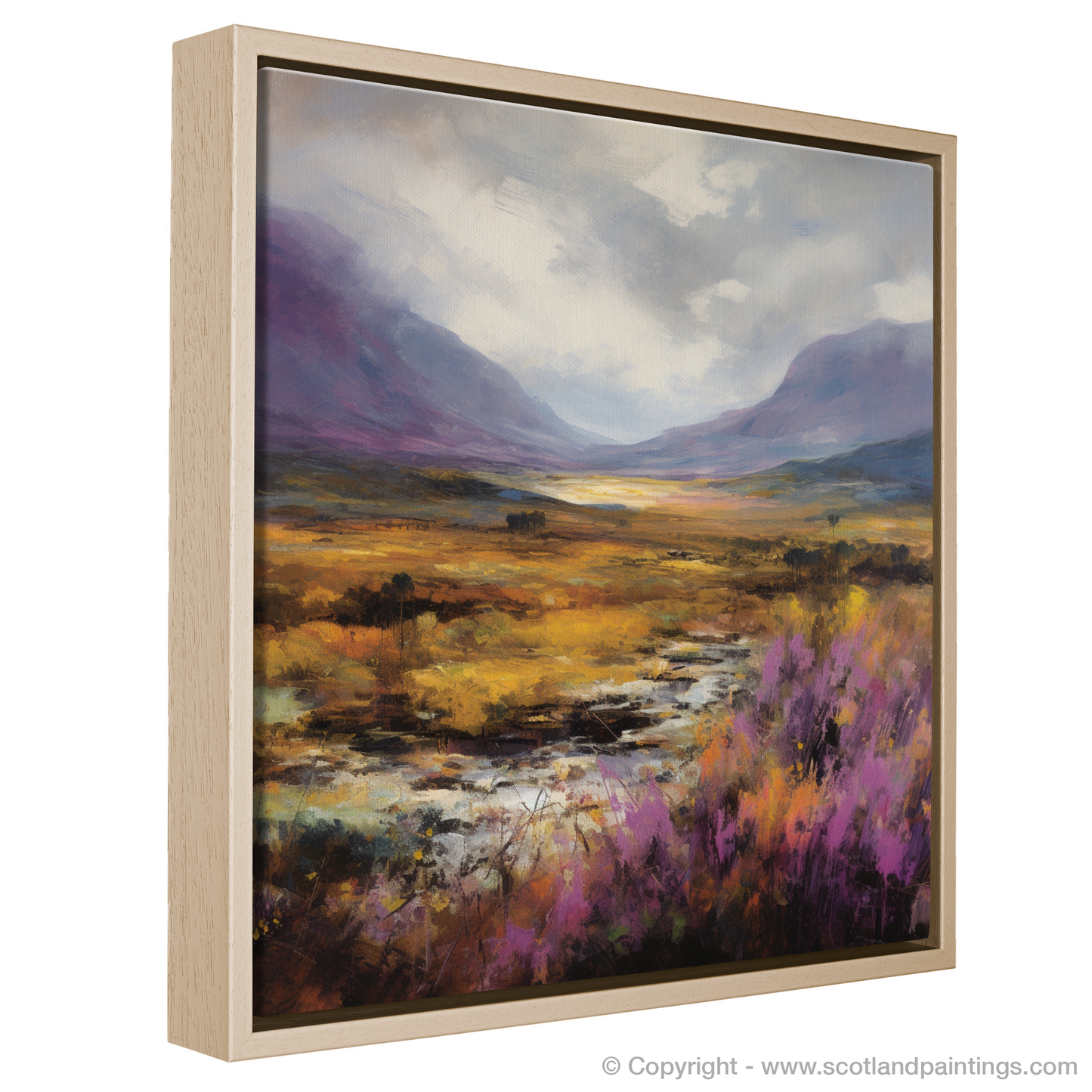 Heather Dreams of Braemar Moorlands