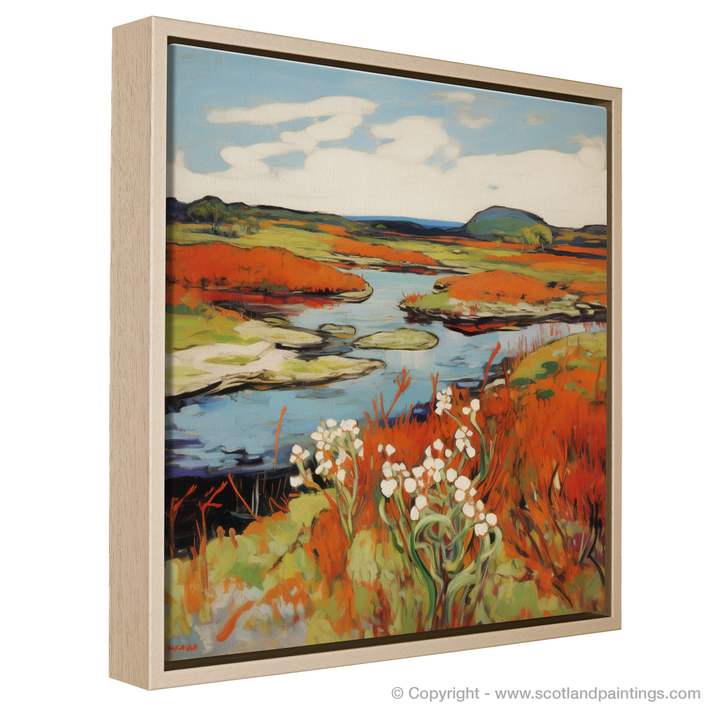 Sundew Splendour in the Flow Country Boglands