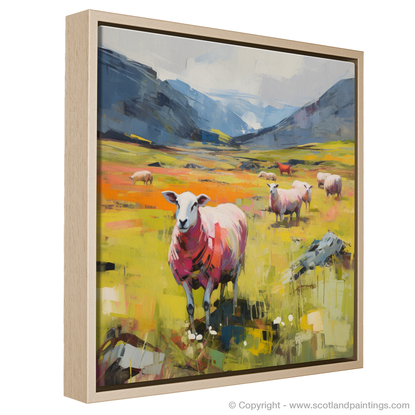 Grazing Harmony in Glencoe Highlands