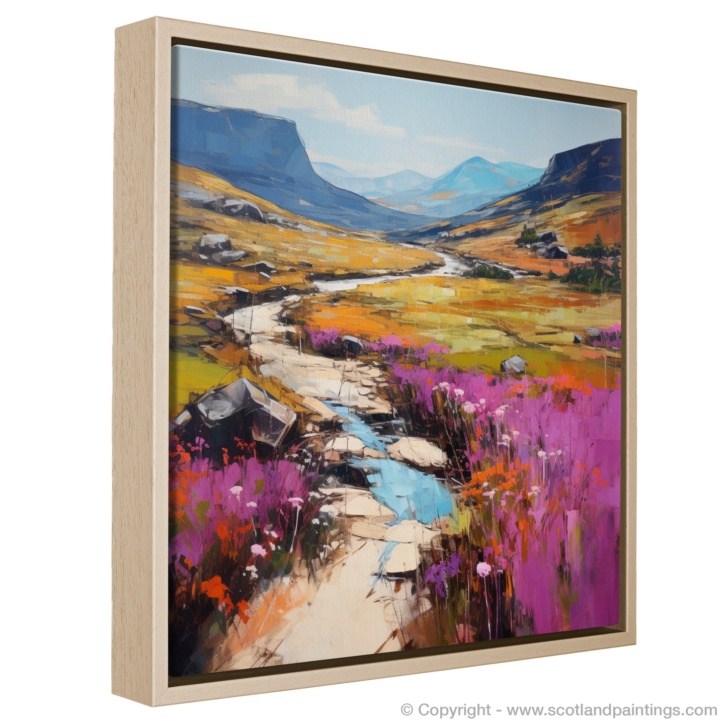 Highland Fireworks: An Abstract Impression of Bell Heather on Three Sisters Slopes