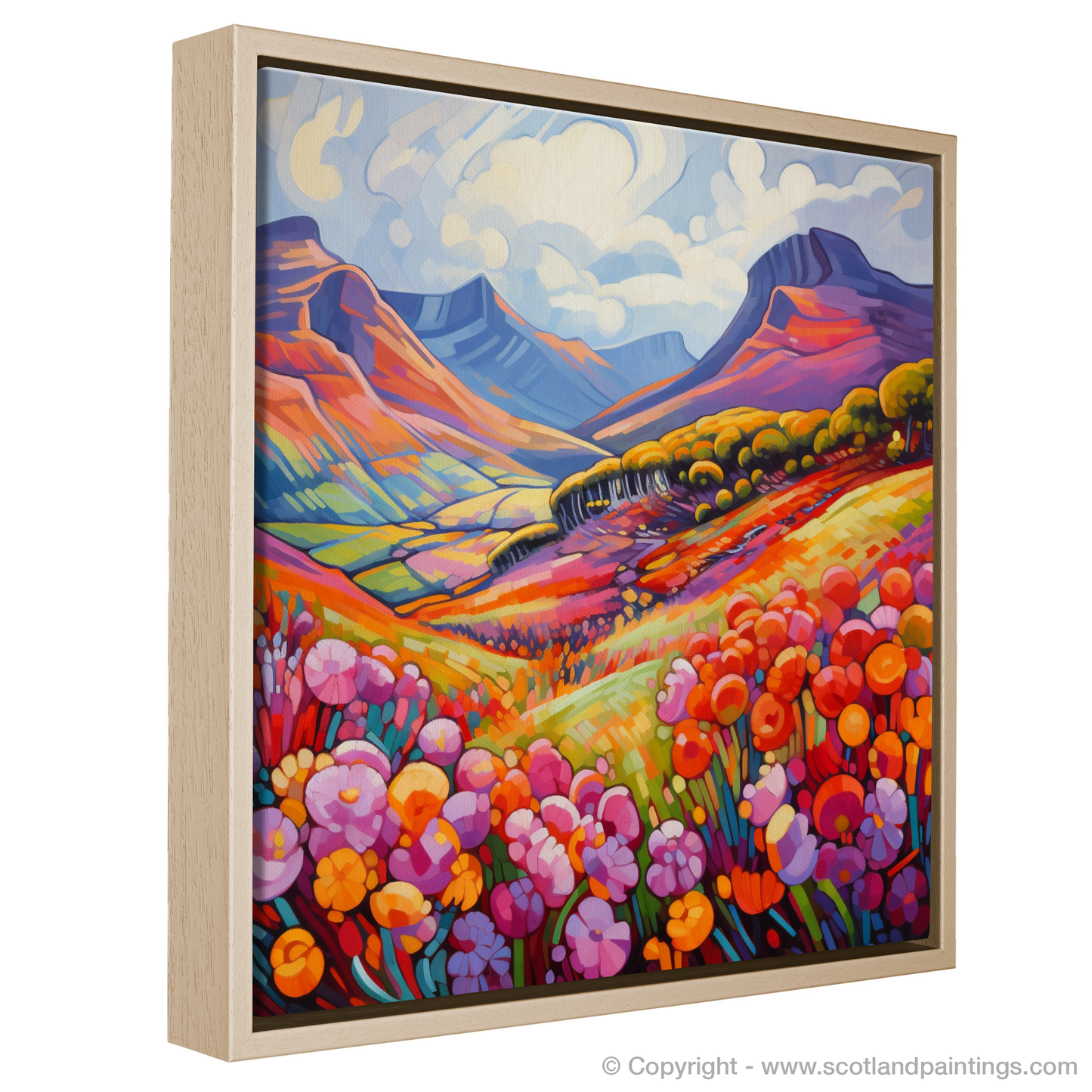 Cubist Rhapsody of Glencoe Heather