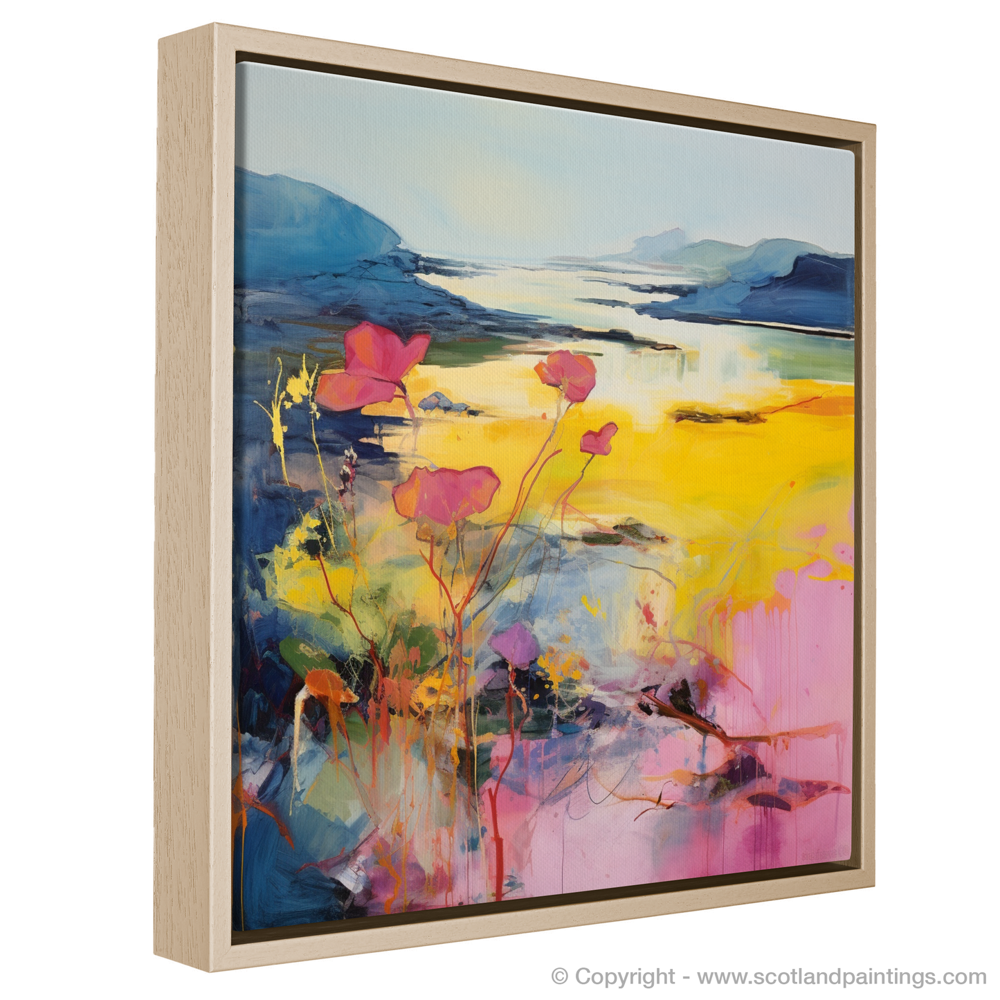 Primrose Whispers of the Argyll Coast