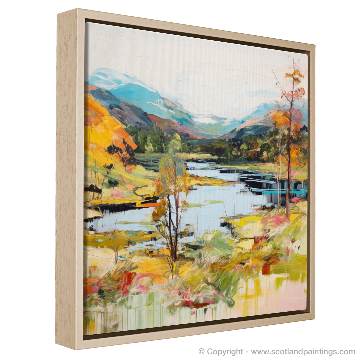 Highland Summer Dreams: A Contemporary Glen Affric Vision