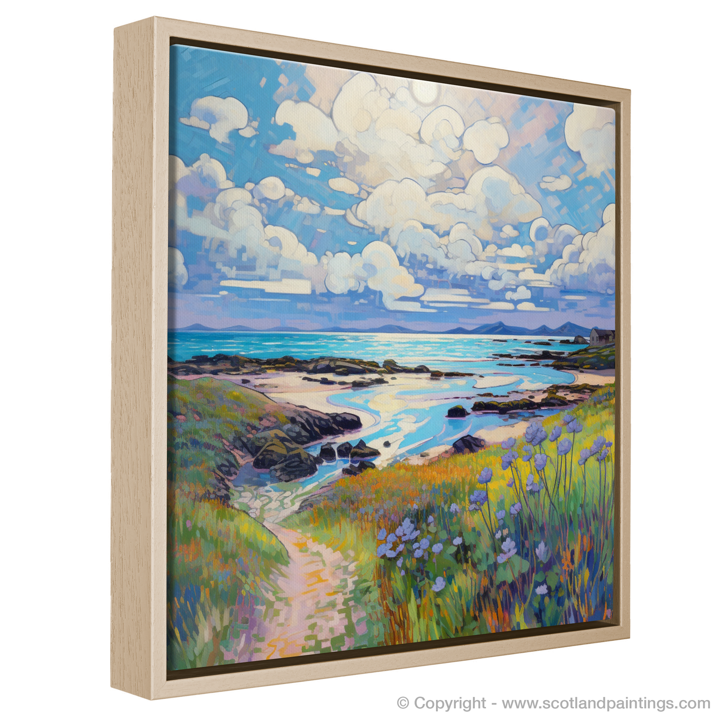 Summer Serenade on Isle of Tiree