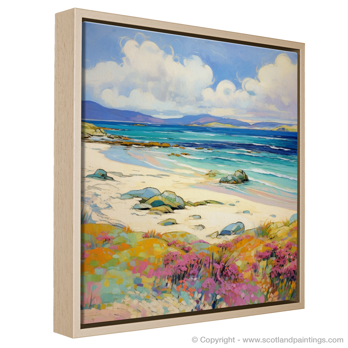 Summer Serenade at Traigh Mhor, Barra