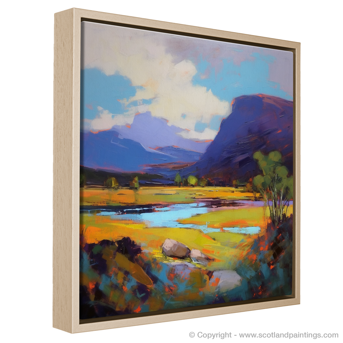 Summer Blaze in Glen Shiel Highlands