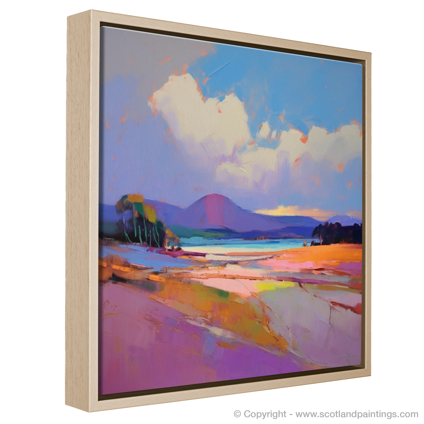 Wild Symphony of Nairn Beach