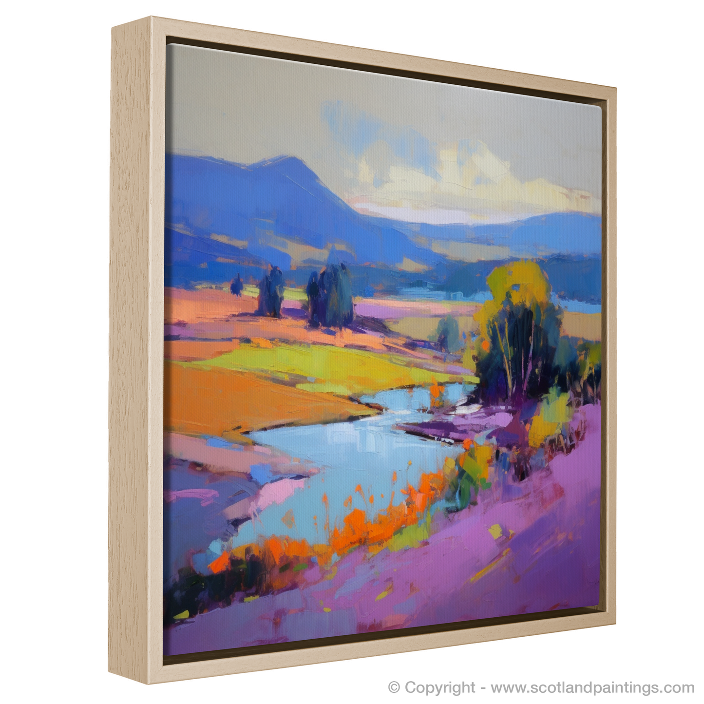 Summer Symphony on the River Dee