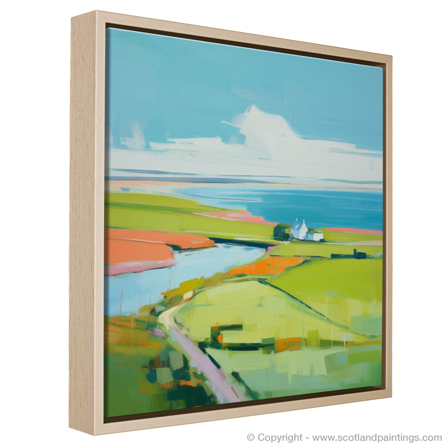 Orkney Summer Splendour