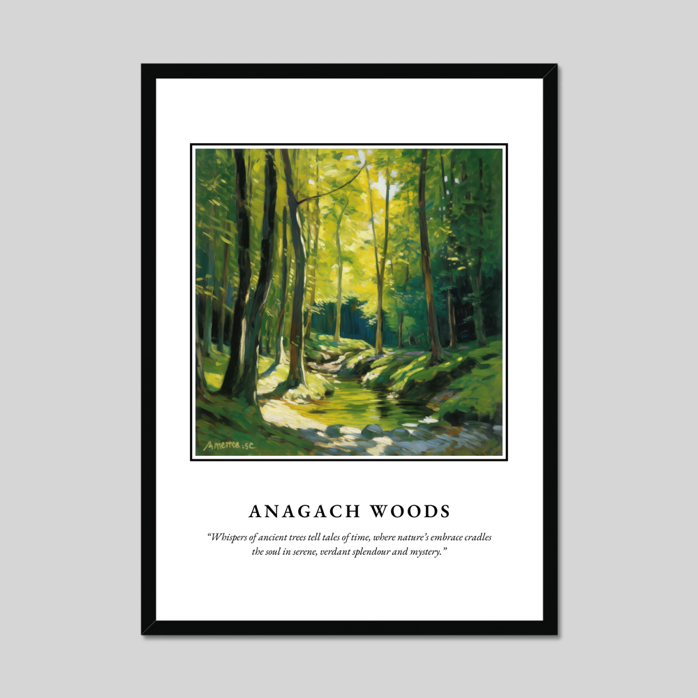 Anagach Woods - Framed Poster Print