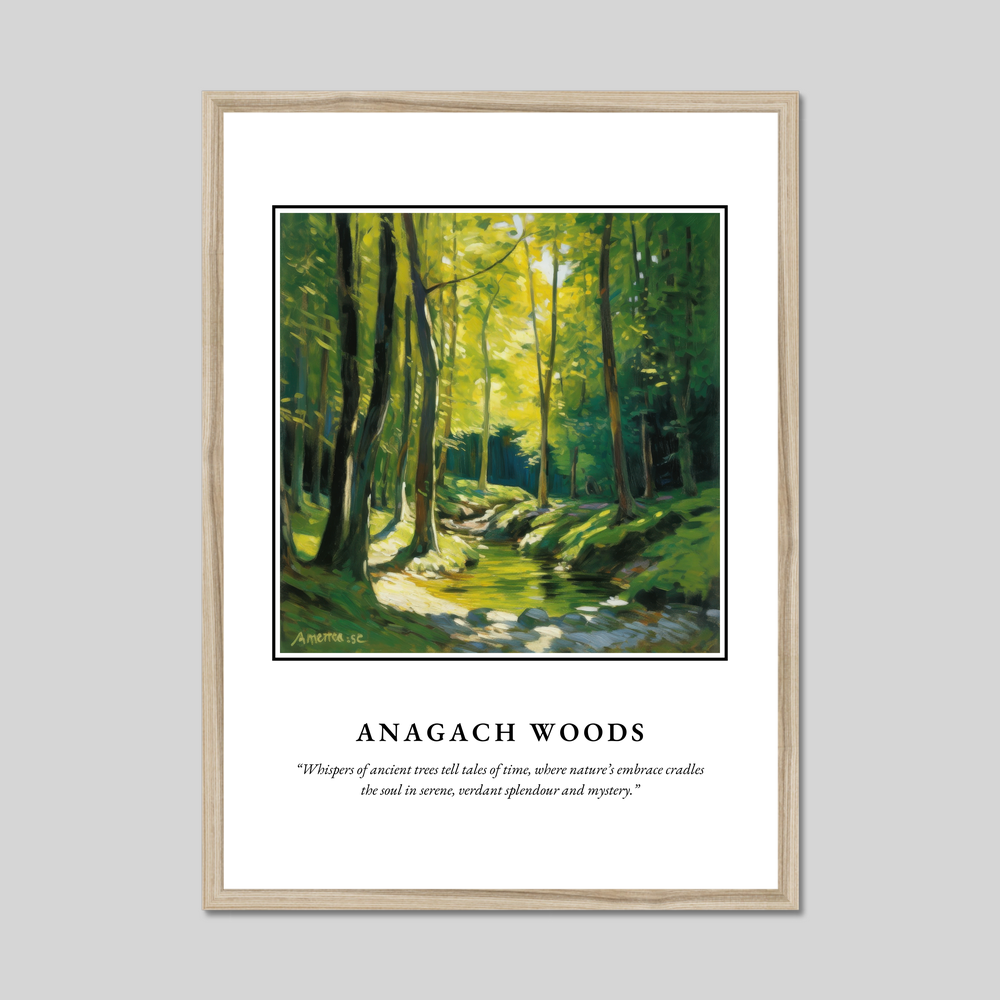 Anagach Woods - Framed Poster Print