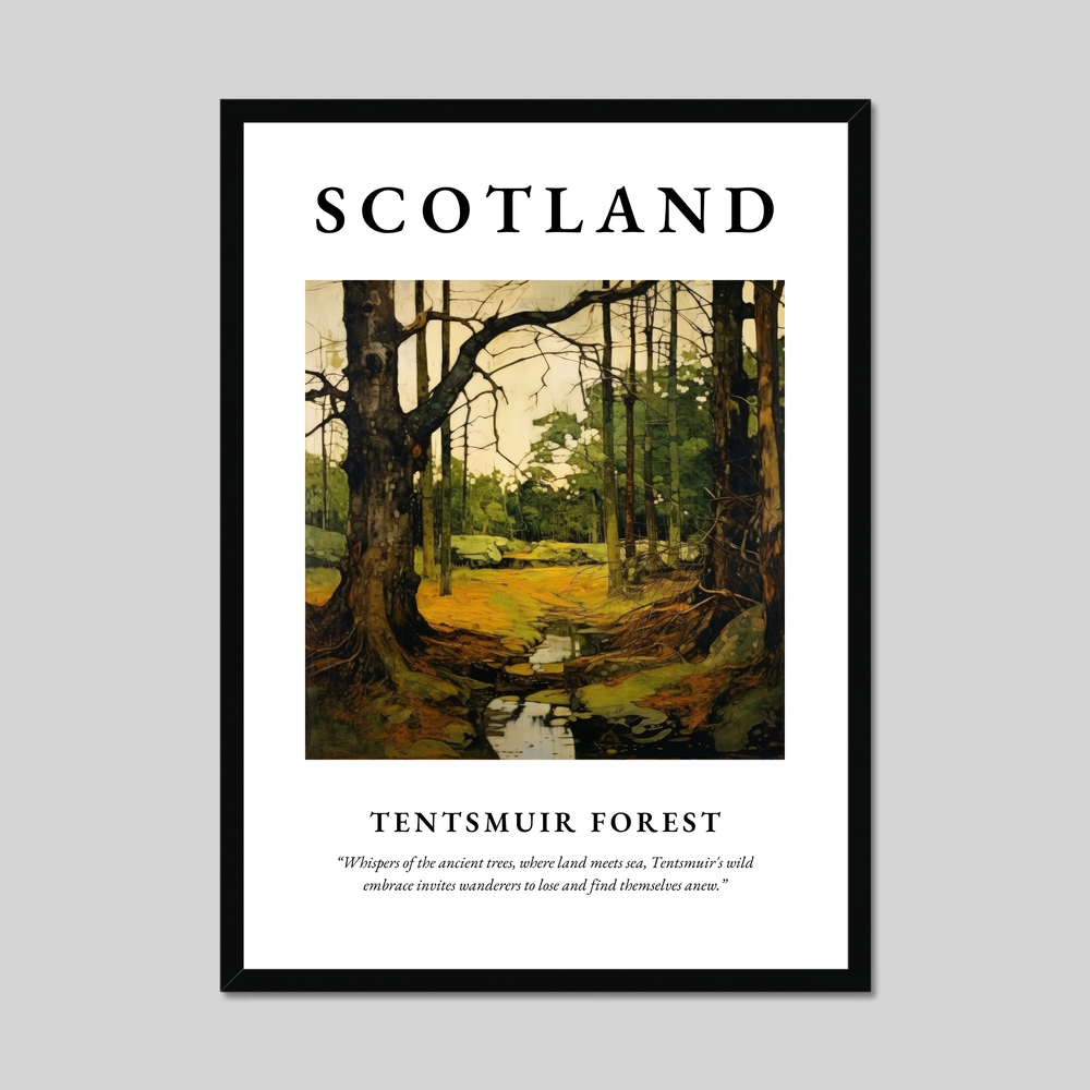 Poster of Tentsmuir Forest, Scotland.