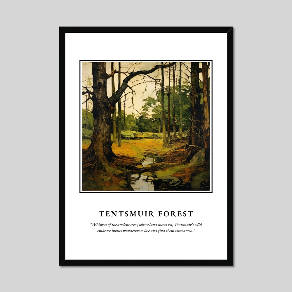 Poster in a black frame