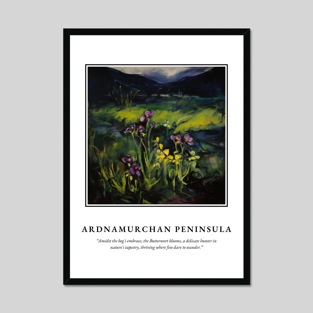 Poster in a black frame