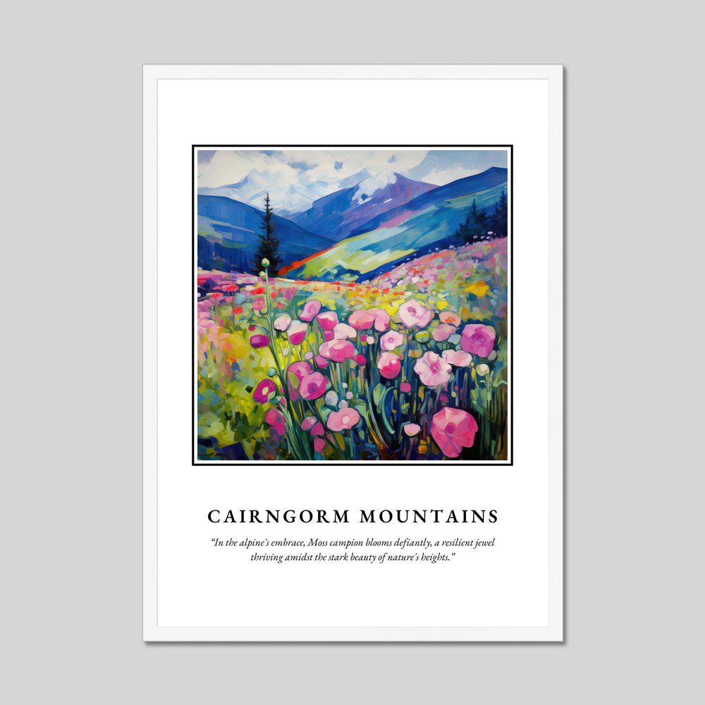 Poster in a white frame