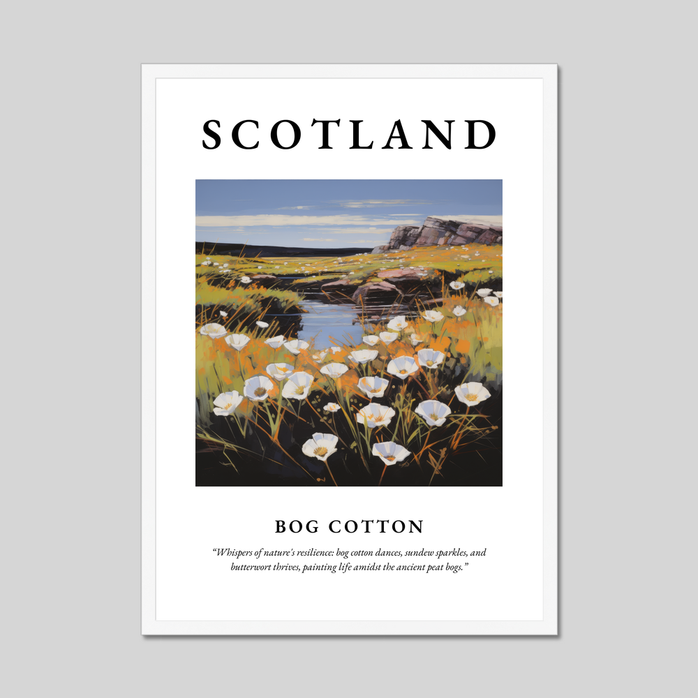 Poster in a white frame with the word Scotland