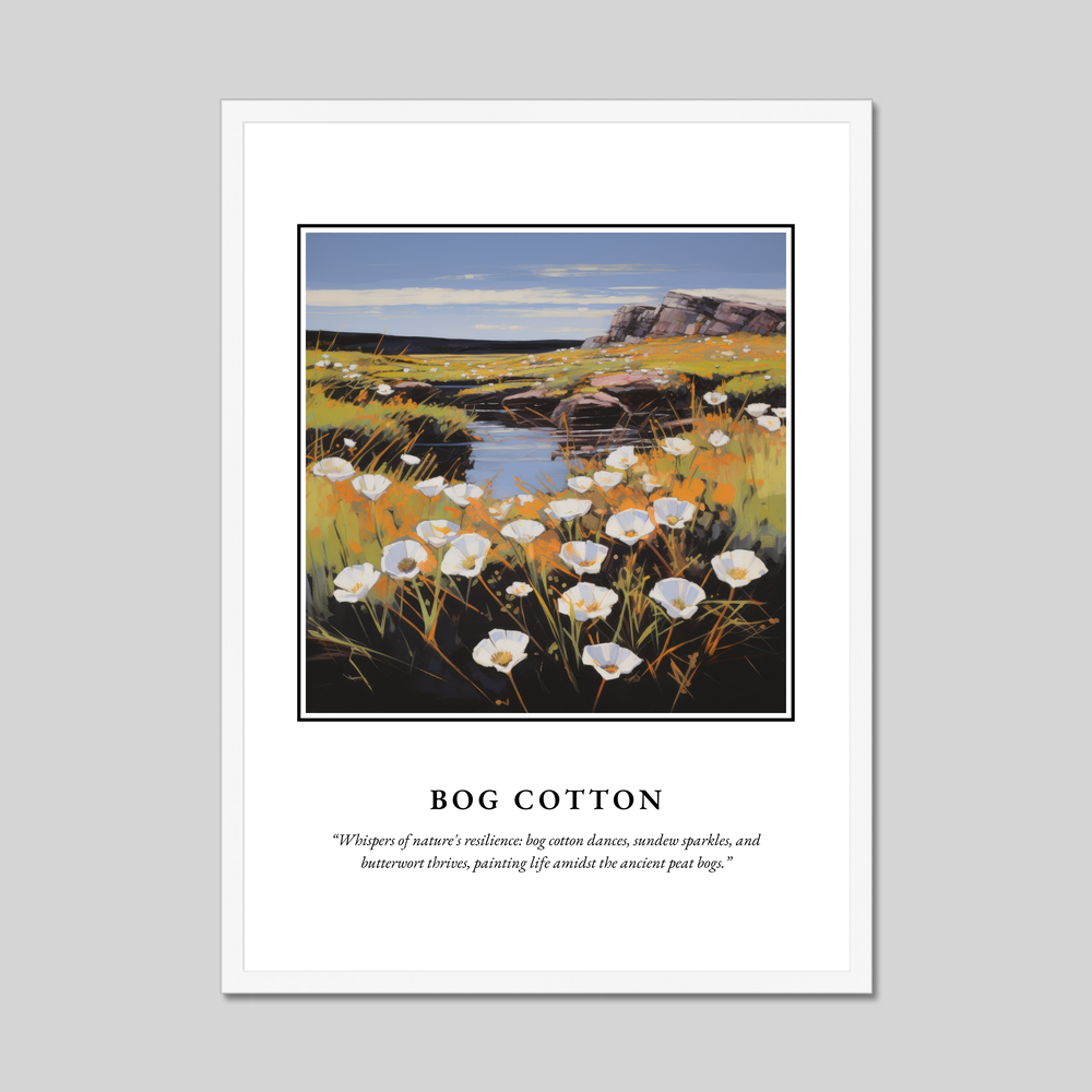 Poster in a white frame