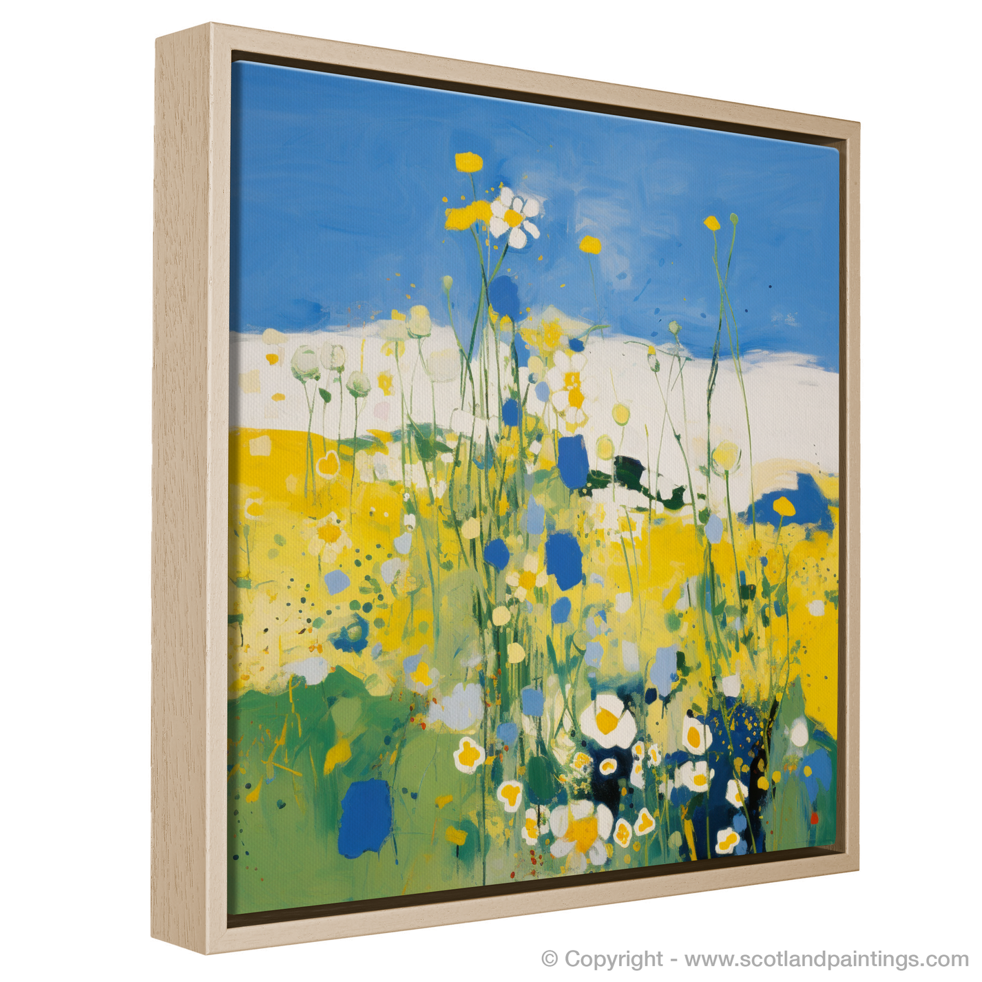 Machair Melody: An Abstract Dance of Yellow Rattle in the Outer Hebrid ...