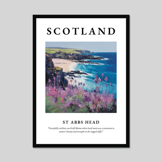 Poster of St Abbs Head, Scotland.