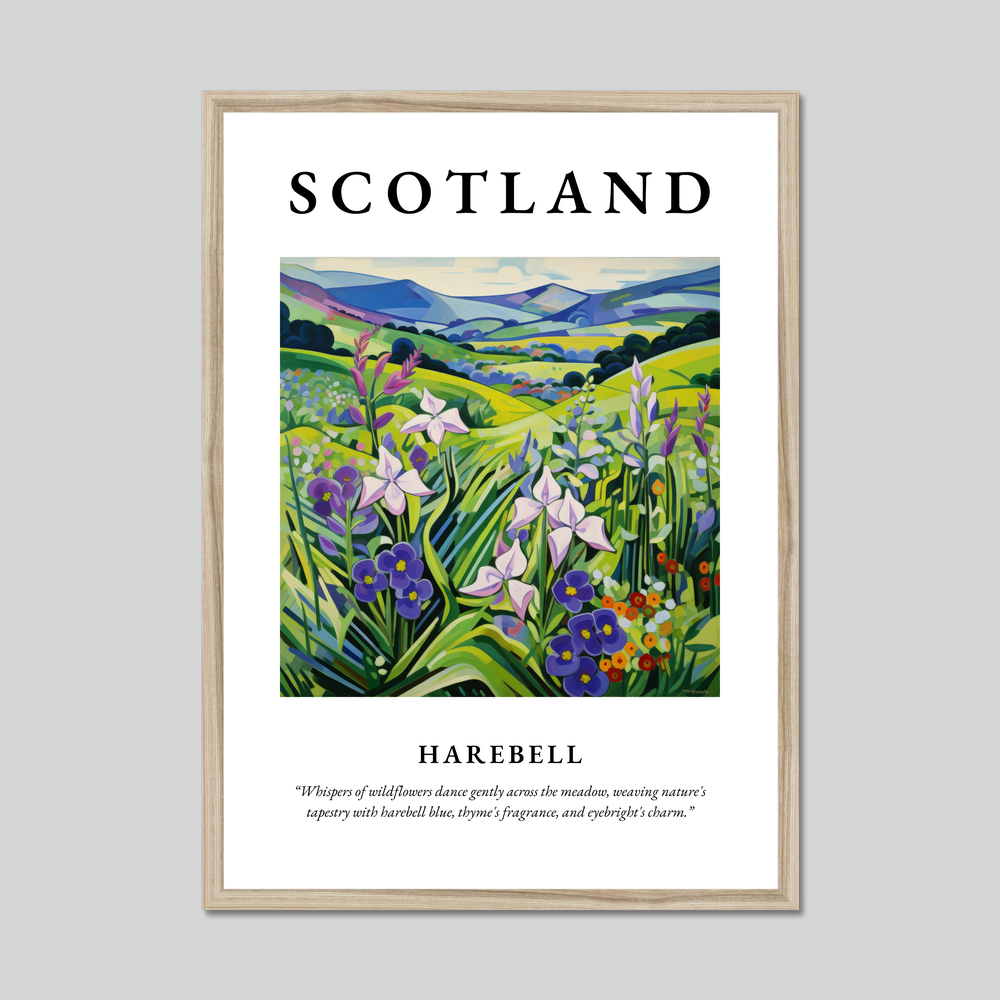 Poster in a natural frame with the word Scotland