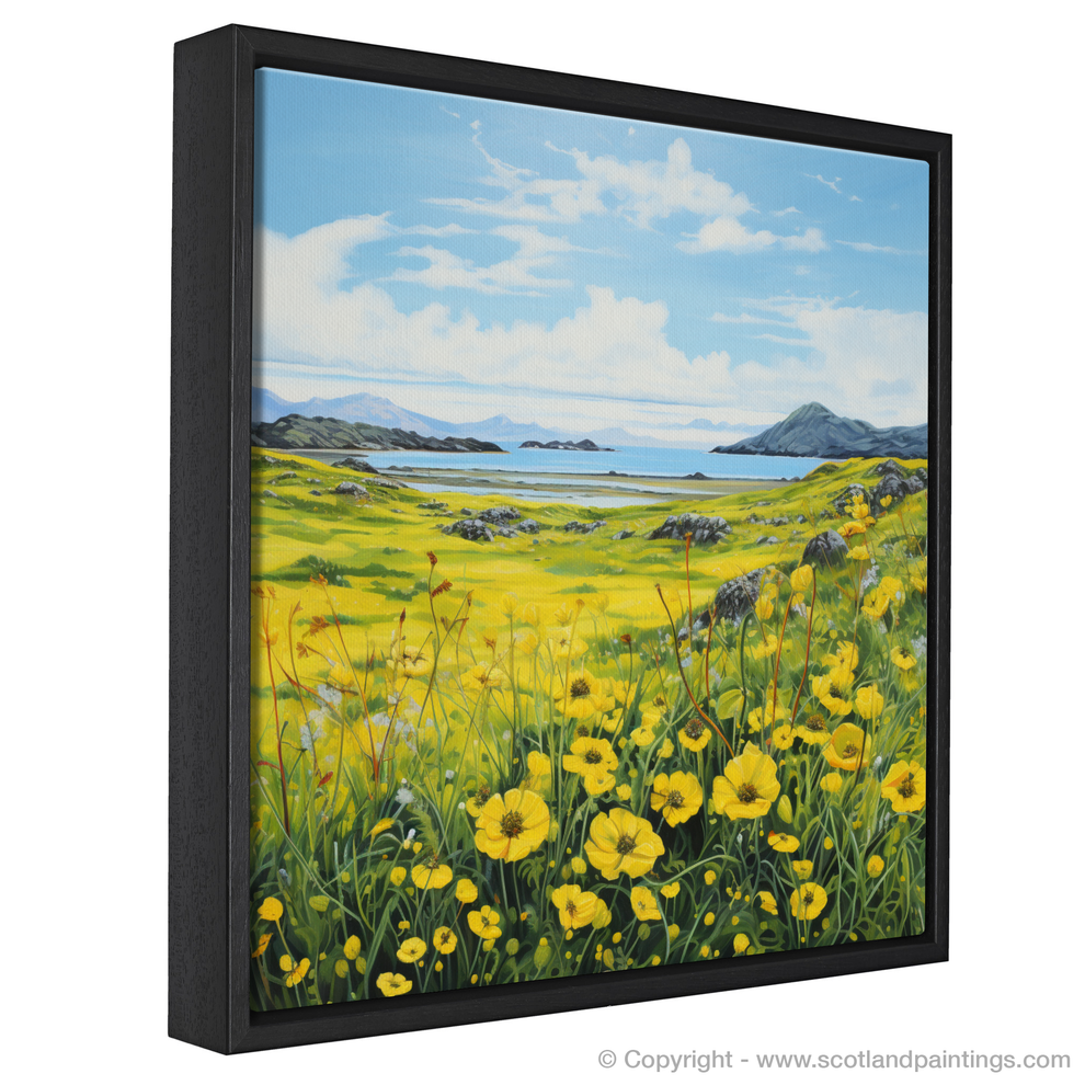 Dancing Yellow Rattle of the Machair Meadows – Scotland Paintings and ...