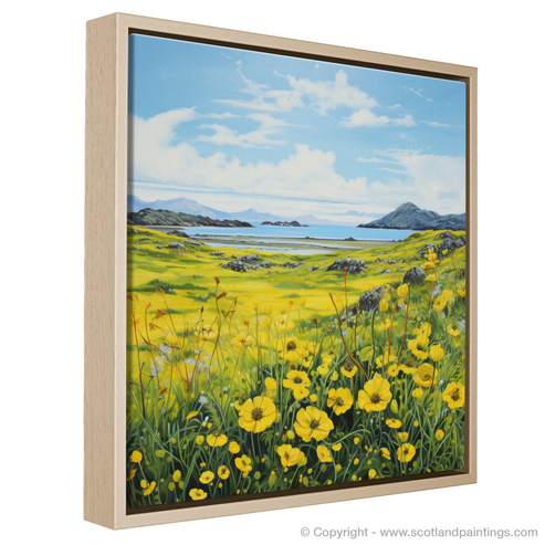 Dancing Yellow Rattle of the Machair Meadows – Scotland Paintings and ...