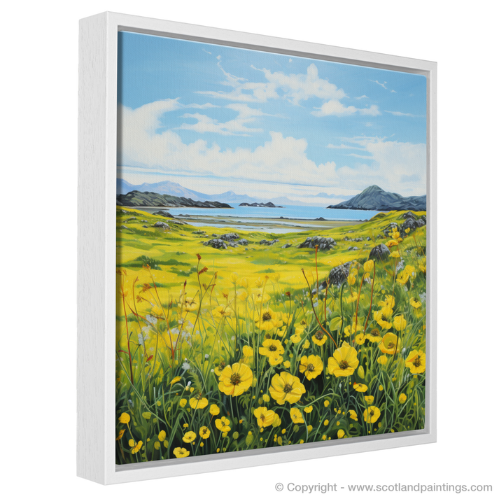 Dancing Yellow Rattle of the Machair Meadows – Scotland Paintings and ...