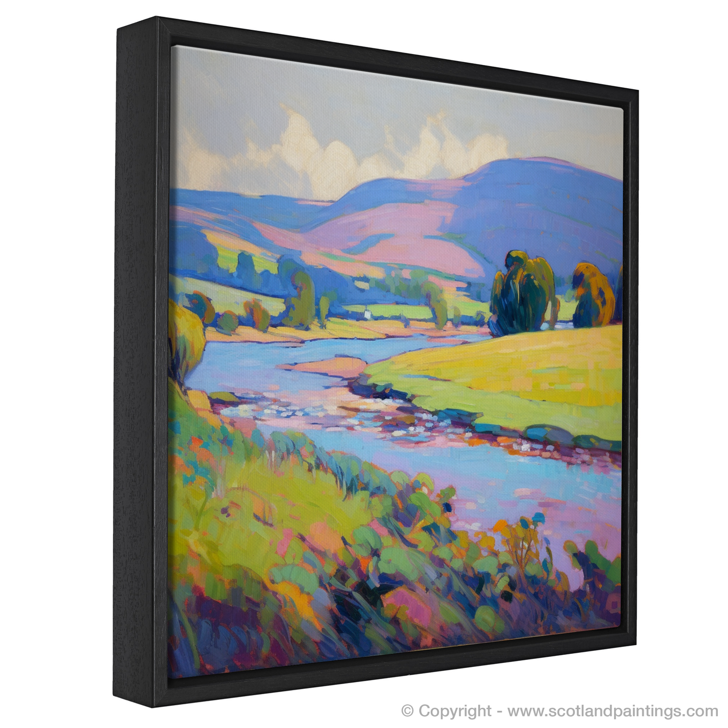 Summer Serenade along the River Tweed