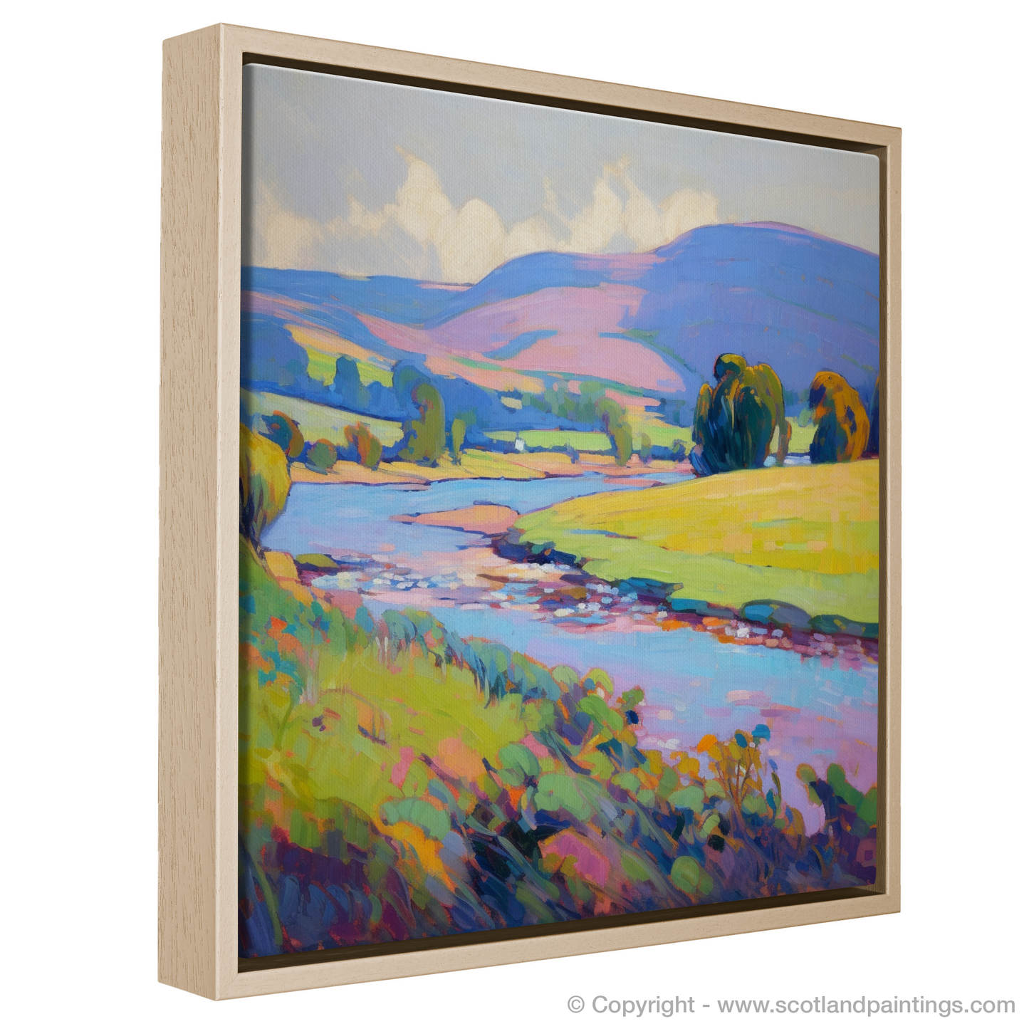 Summer Serenade along the River Tweed