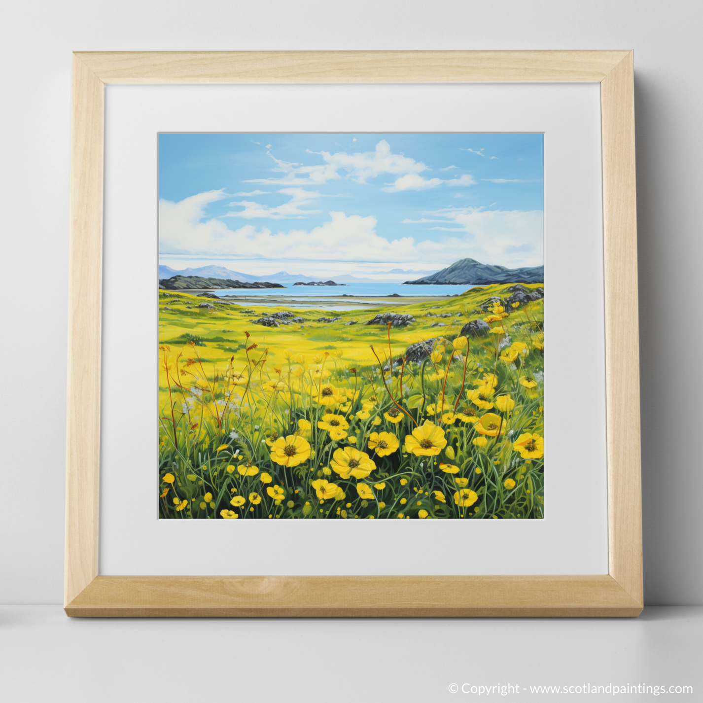 Dancing Yellow Rattle of the Machair Meadows – Scotland Paintings and ...