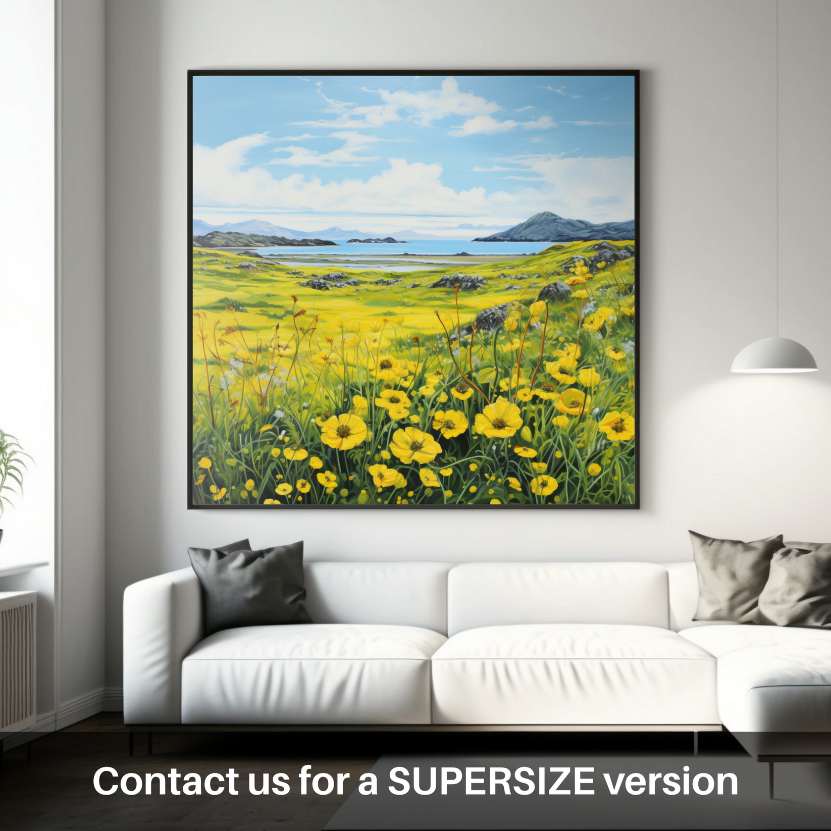 Dancing Yellow Rattle of the Machair Meadows – Scotland Paintings and ...