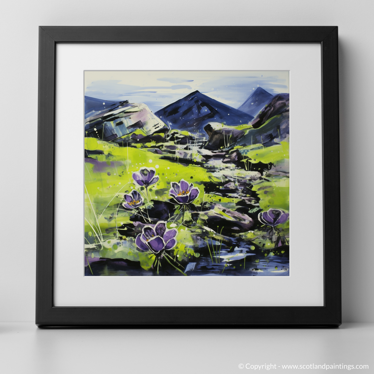 Butterwort Dance on Ben Cruachan’s Dewy Canvas