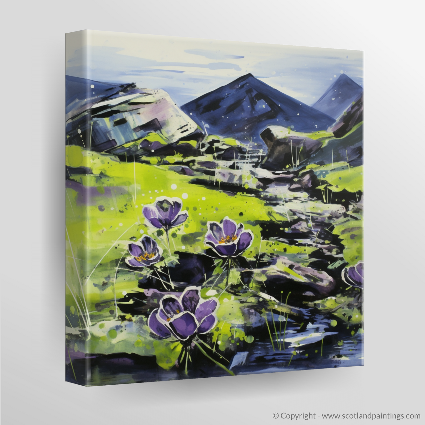 Butterwort Dance on Ben Cruachan’s Dewy Canvas