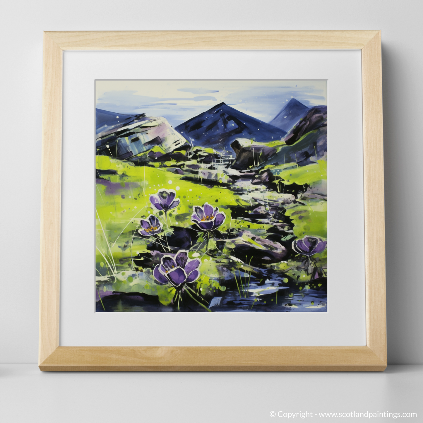 Butterwort Dance on Ben Cruachan’s Dewy Canvas