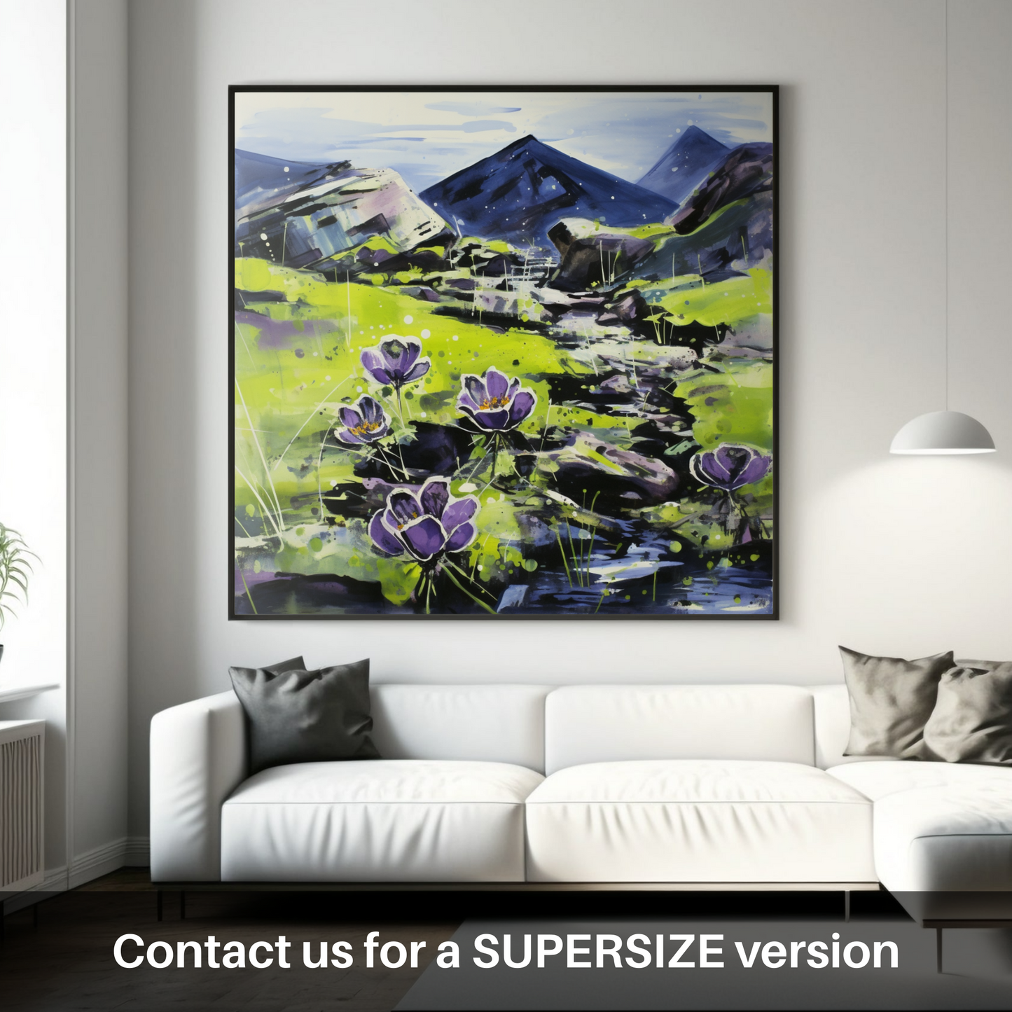 Butterwort Dance on Ben Cruachan’s Dewy Canvas